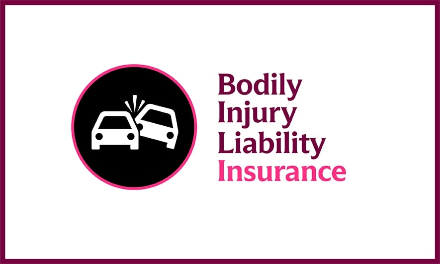 Bodily injury liability insurance video