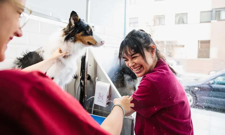 business owner protected by Insurance for Pet Care Businesses