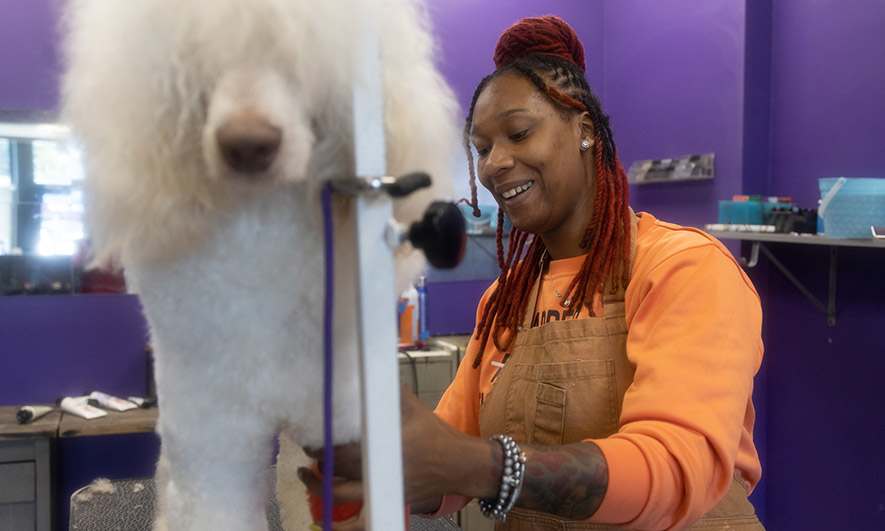 small business protected by pet store insurance