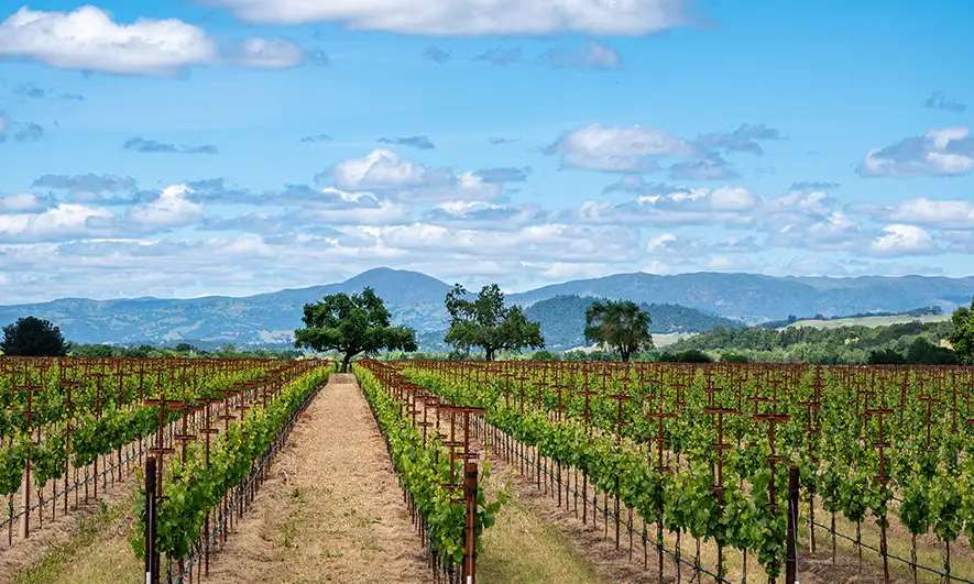 business protected by winery insurance