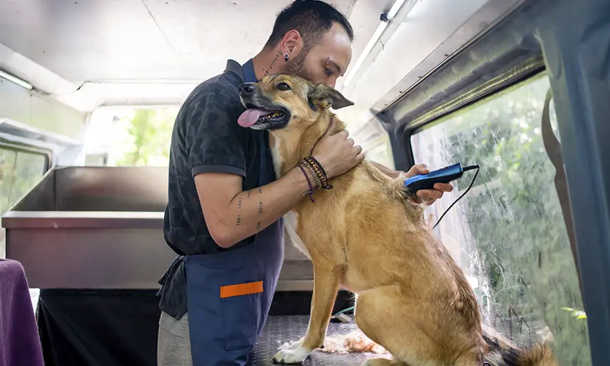 Mobile Pet Groomer